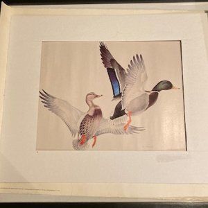 Glen Loates vintage print